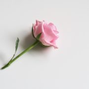 Coping With The Loss Of A Spouse