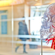 improve-memory-prevent-dementia-alzheimers-feature